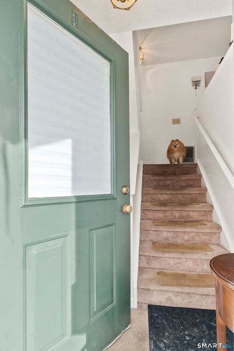 Tiny photo for 10 South Street #36, Danbury, CT 06810 (MLS # 24151220)