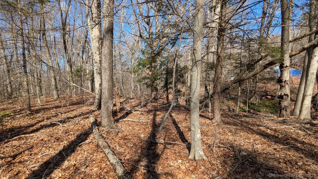 Lot 7A Long Hill Road, East Hampton, Connecticut image 7
