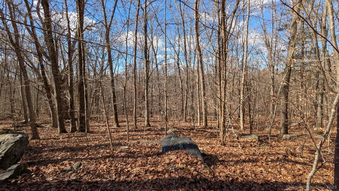 Lot 7A Long Hill Road, East Hampton, Connecticut image 12