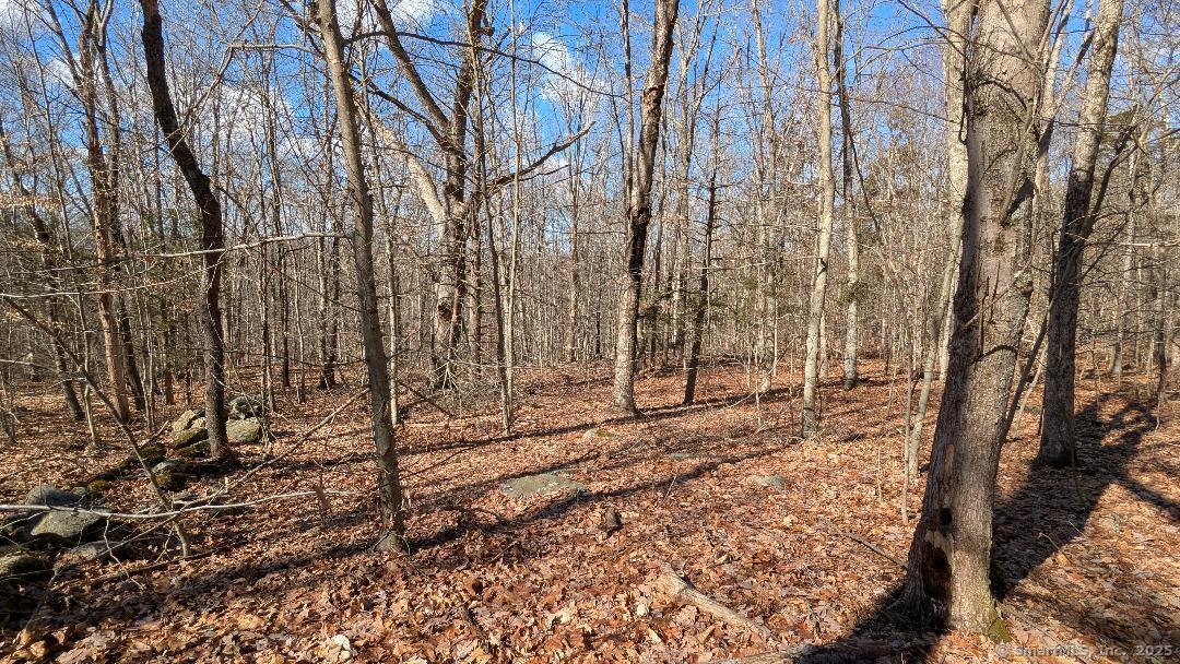 Lot 7A Long Hill Road, East Hampton, Connecticut image 13