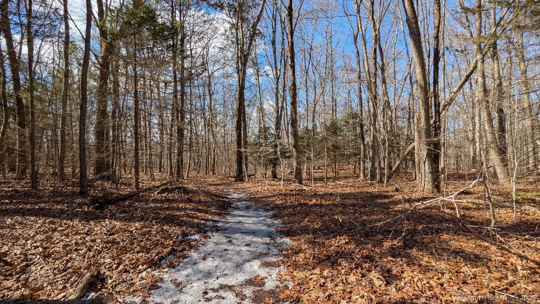 Lot 7A Long Hill Road, East Hampton, Connecticut image 3