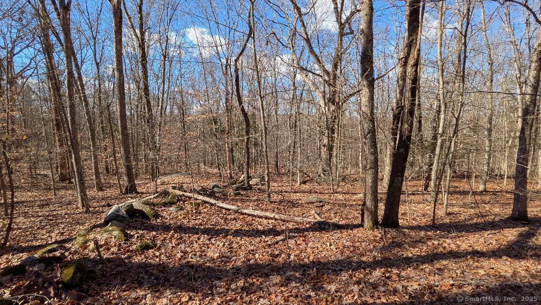 Lot 7A Long Hill Road, East Hampton, Connecticut image 11