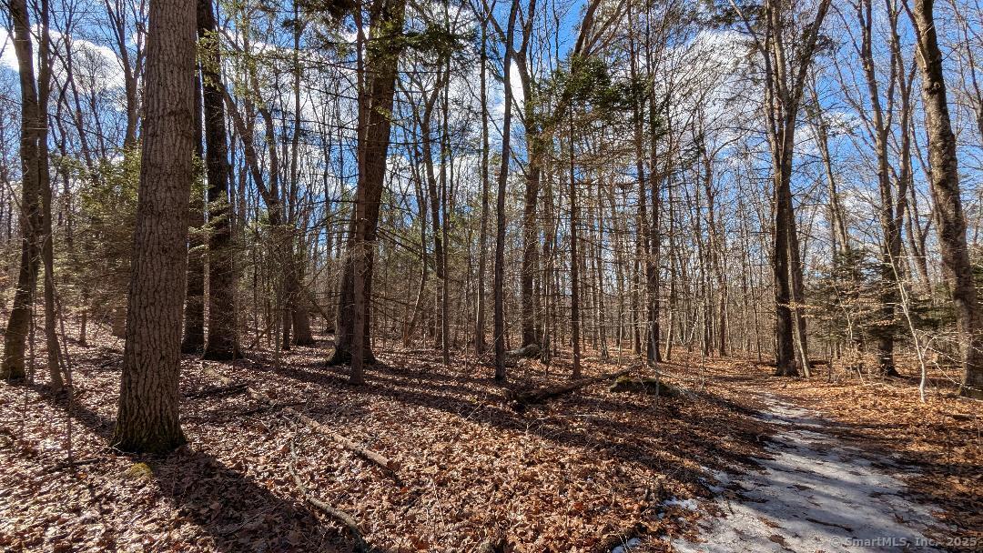 Lot 7A Long Hill Road, East Hampton, Connecticut image 5