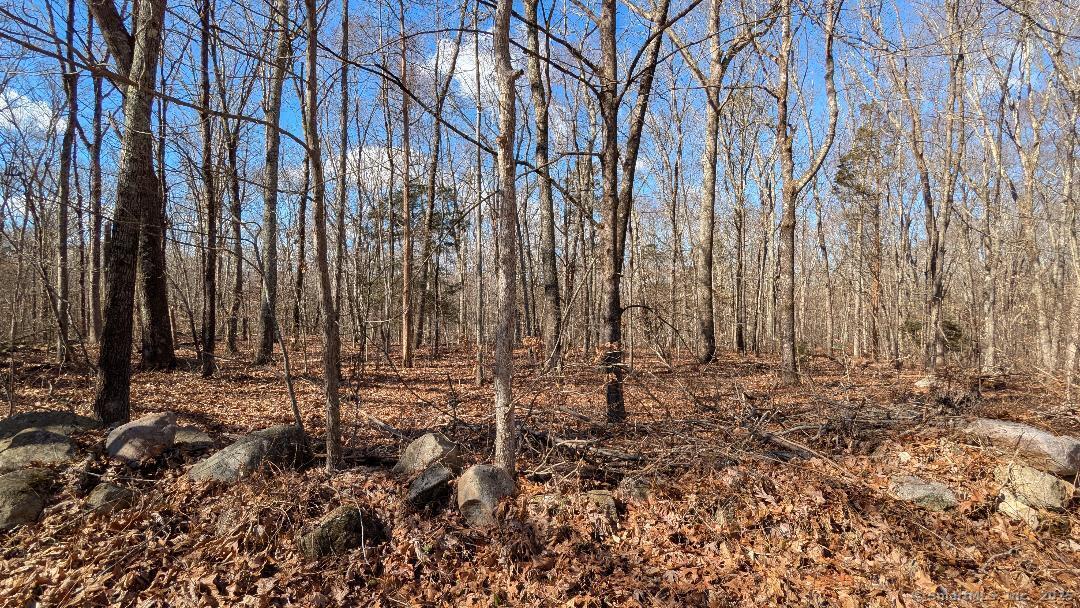 Lot 7A Long Hill Road, East Hampton, Connecticut image 10