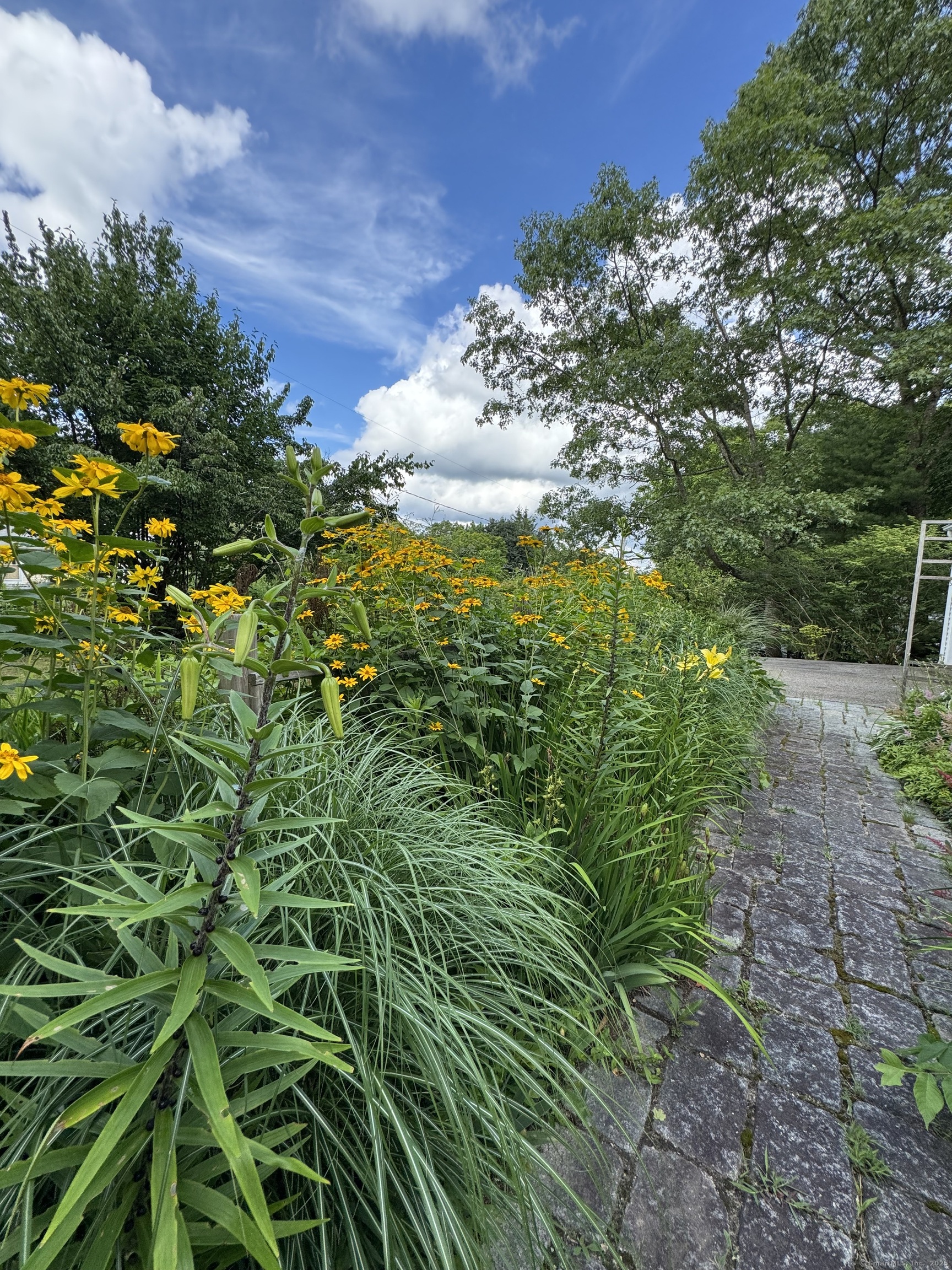 23 Mountain Road