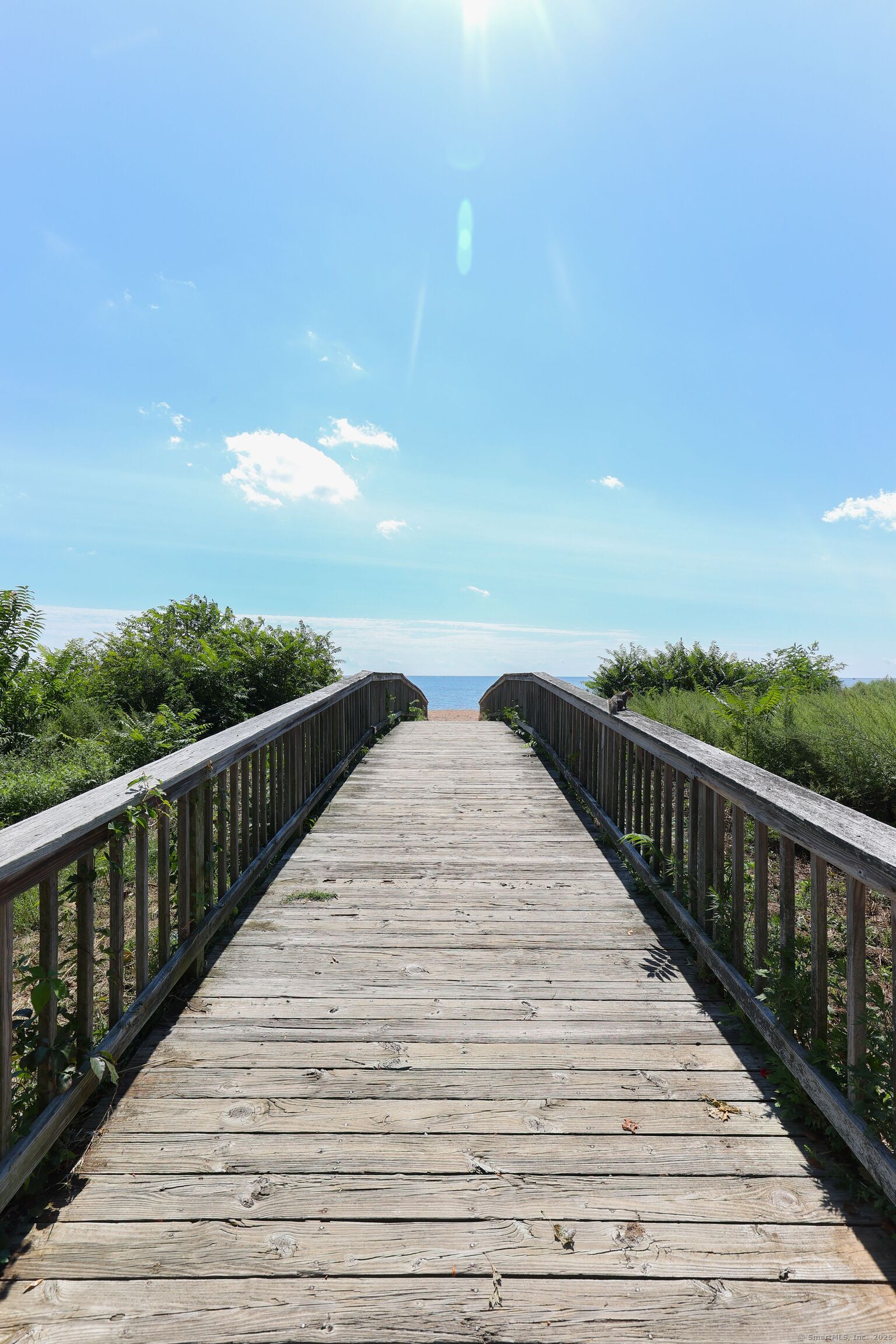 262 Blohm Street, West Haven, Connecticut image 33