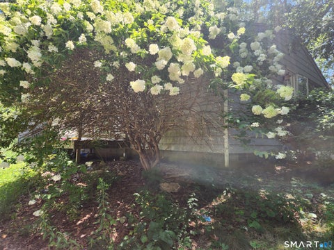Tiny photo for 85 Military Highway, Ledyard, CT 06340 (MLS # 24197902)