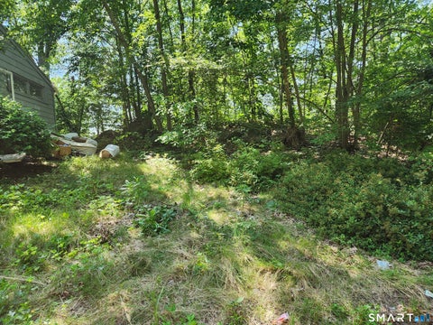 Tiny photo for 85 Military Highway, Ledyard, CT 06340 (MLS # 24197902)