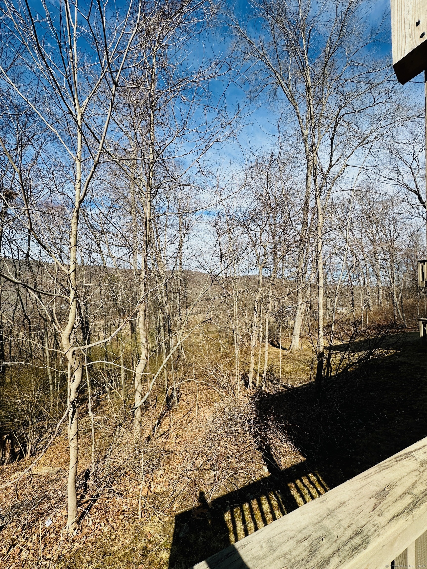 17 Tamarack Lane #17, Woodbury, Connecticut image 32