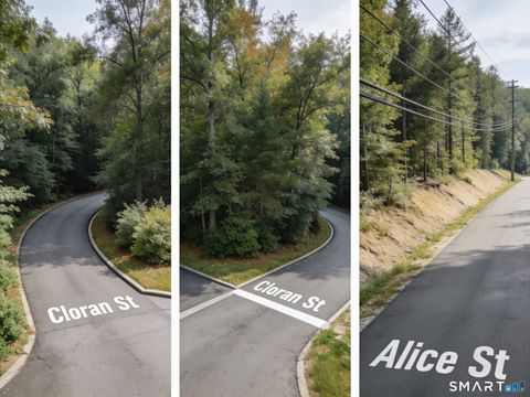 Tiny photo for 28 Cloran Street, Windham, CT 06226 (MLS # 24164113)