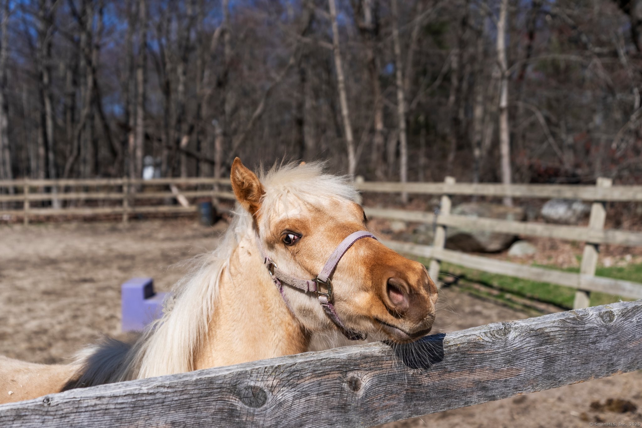 126 Old Farms Road #126, Torrington, Connecticut image 37