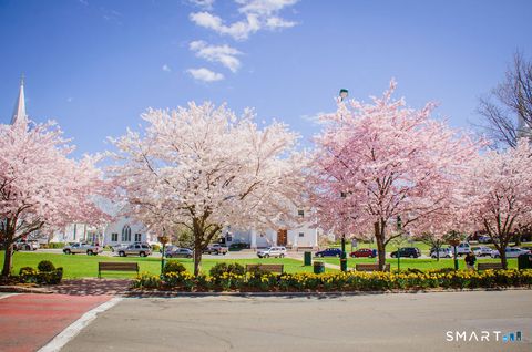 Tiny photo for 5 Westwood Road, Branford, CT 06405 (MLS # 24166503)