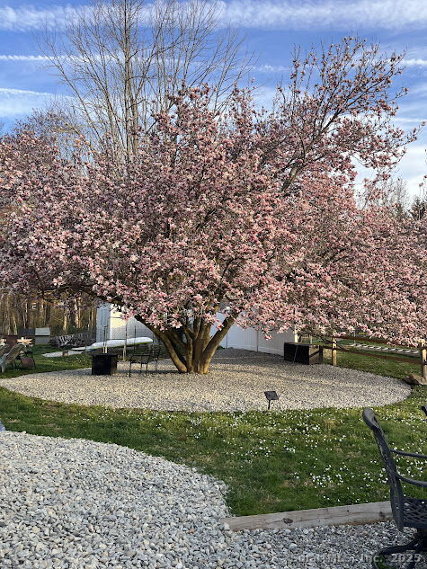 61 Carriage Drive, Lebanon, Connecticut image 38