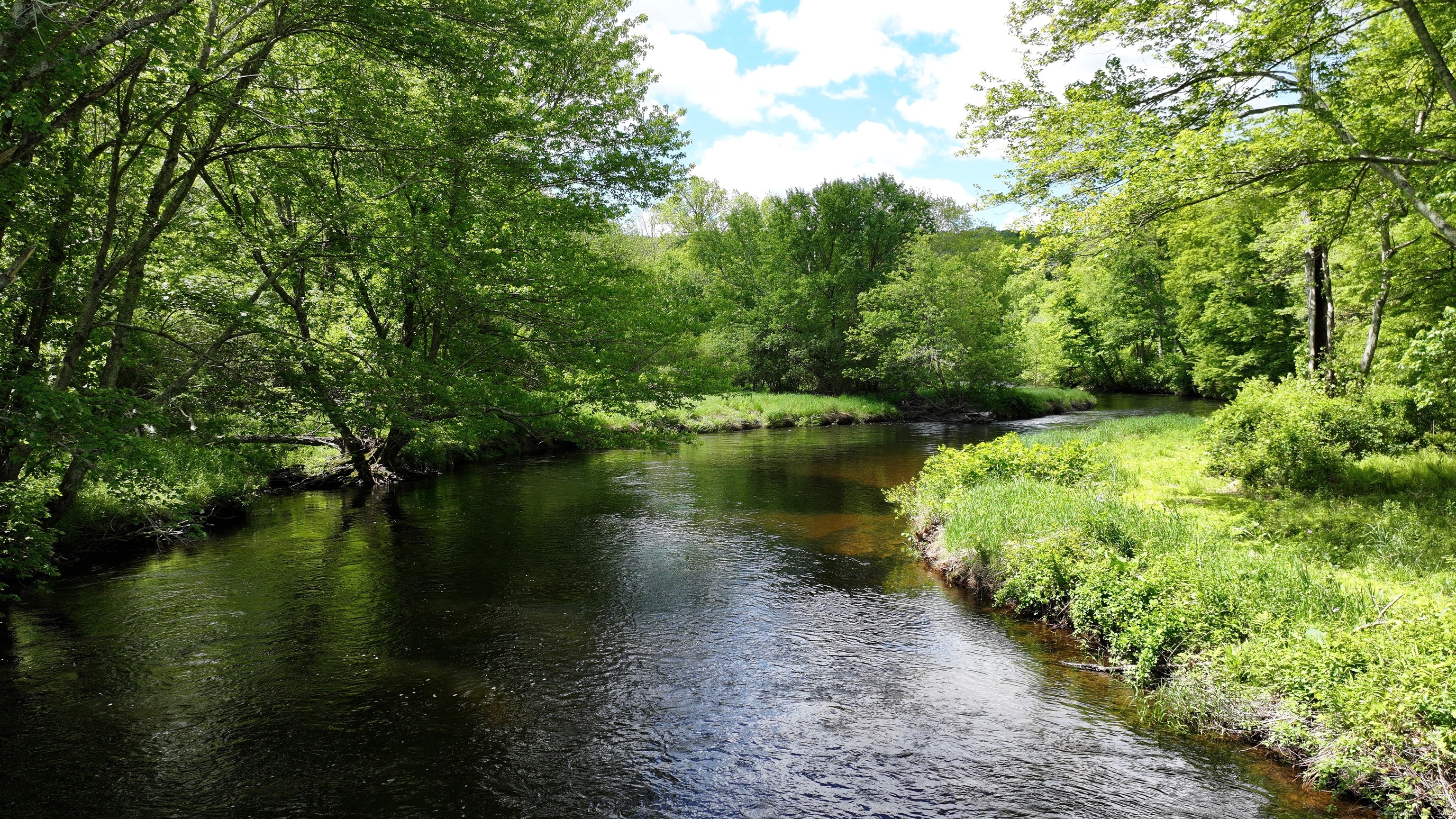 10 Boston Turnpike, Coventry, Connecticut image 37