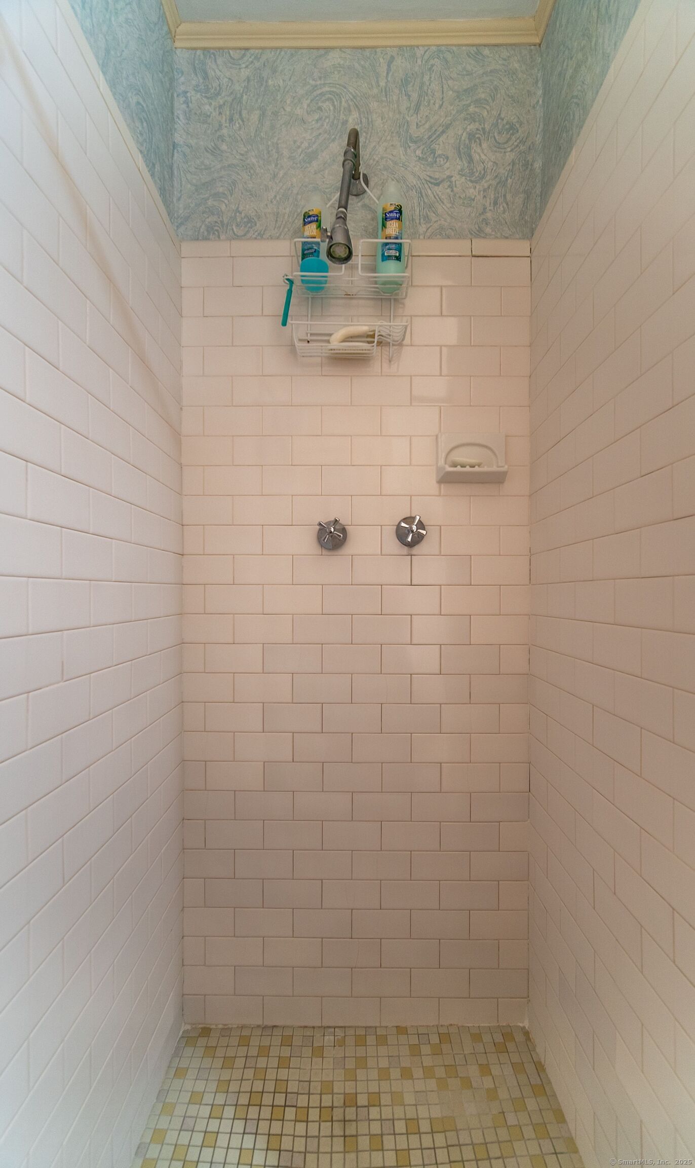 492 Whitney Avenue #1C, New Haven, Connecticut image 27