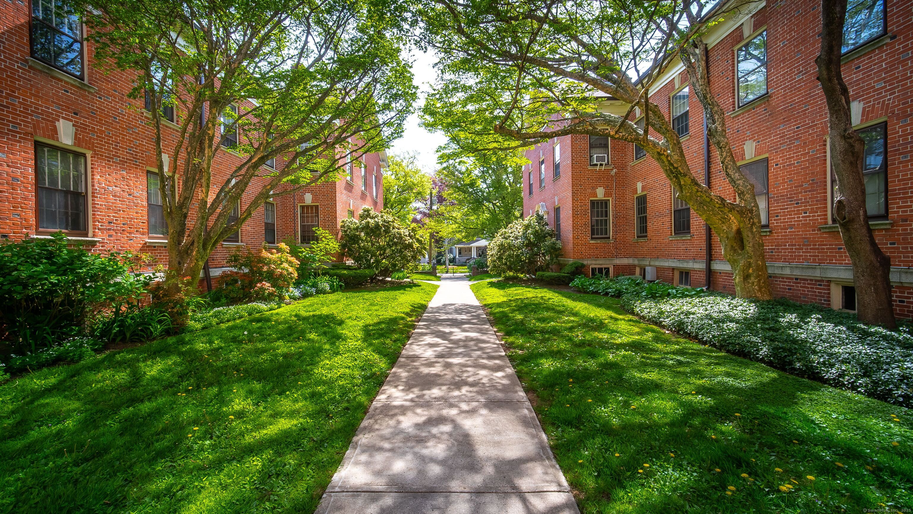 492 Whitney Avenue #1C, New Haven, Connecticut image 31