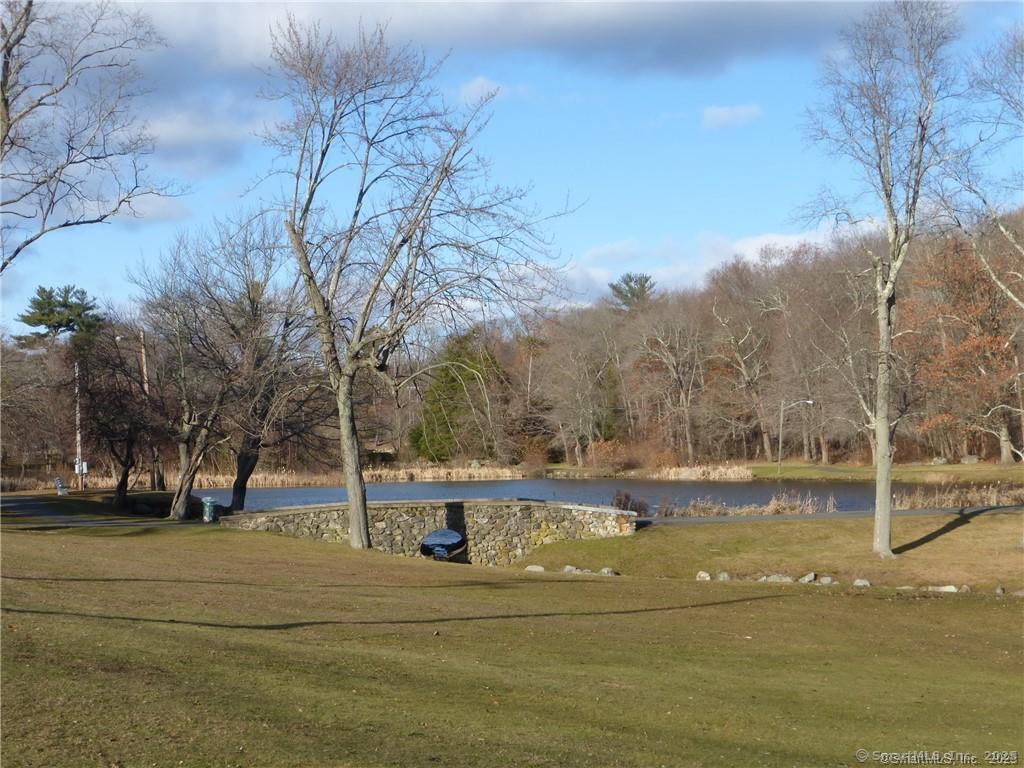 7 Collins Street, Waterbury, Connecticut image 14