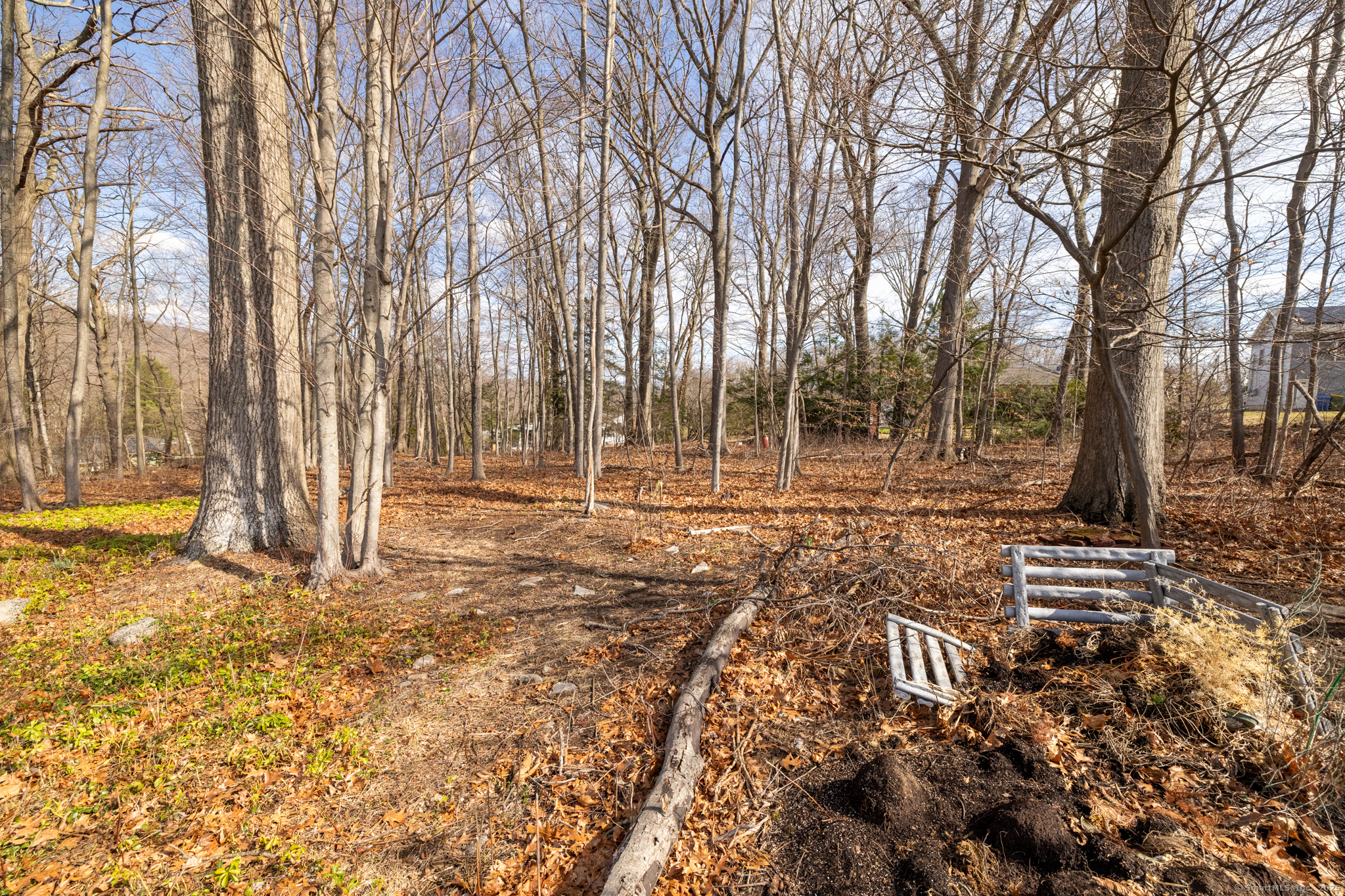 246 Westmont Drive, Waterbury, Connecticut image 34