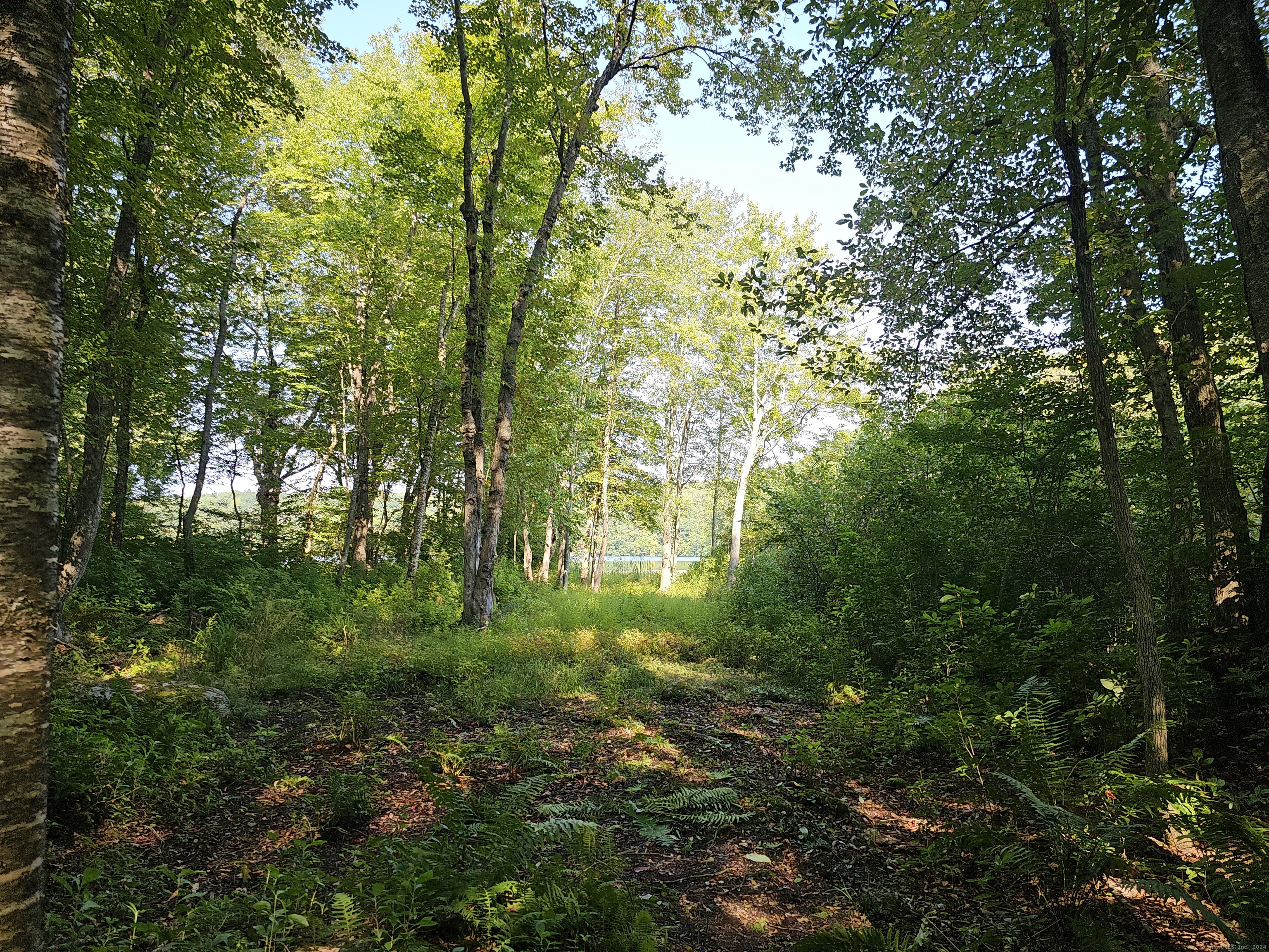 1409 Old Colchester Road, Montville, Connecticut image 3