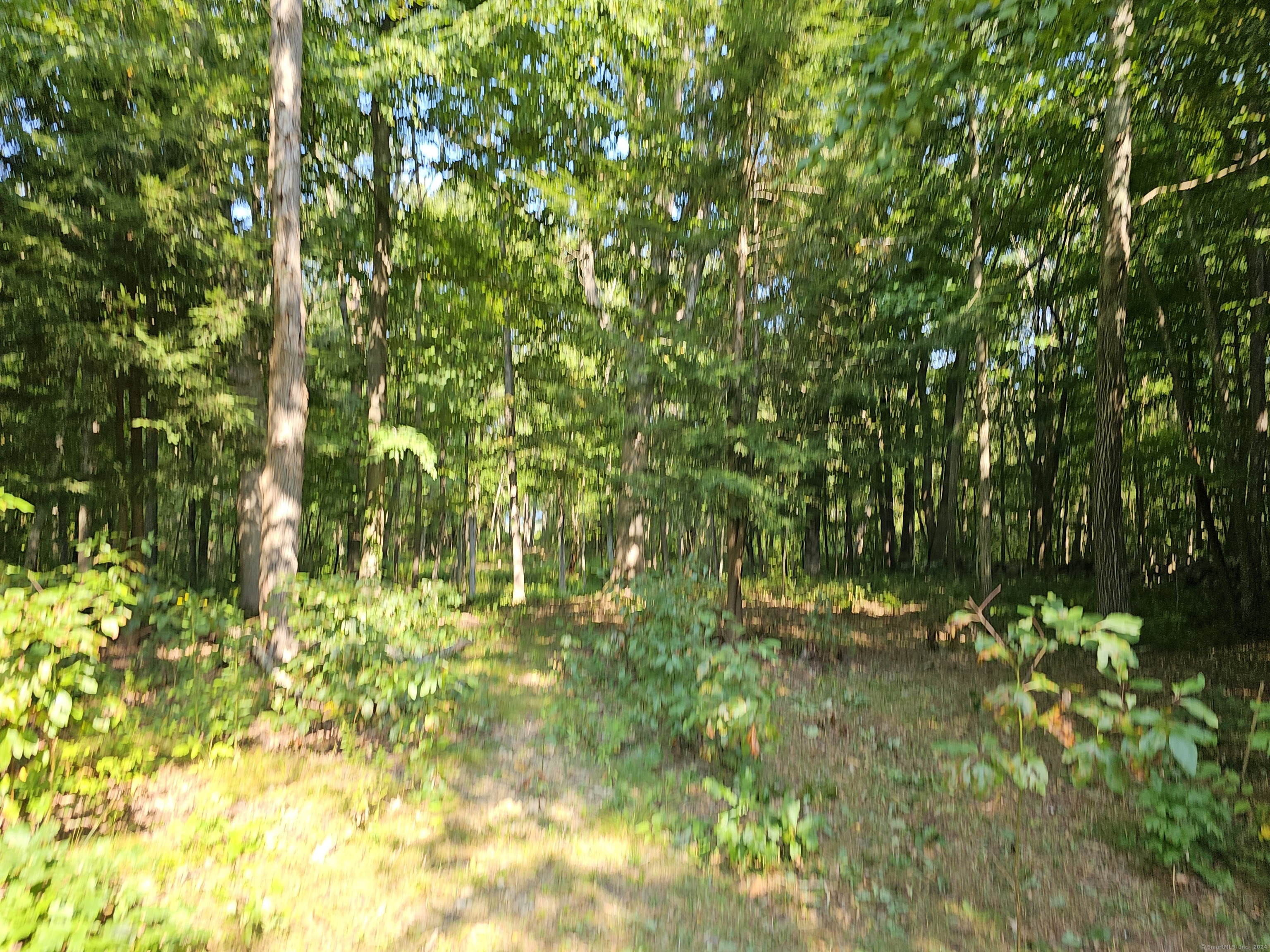 1409 Old Colchester Road, Montville, Connecticut image 6