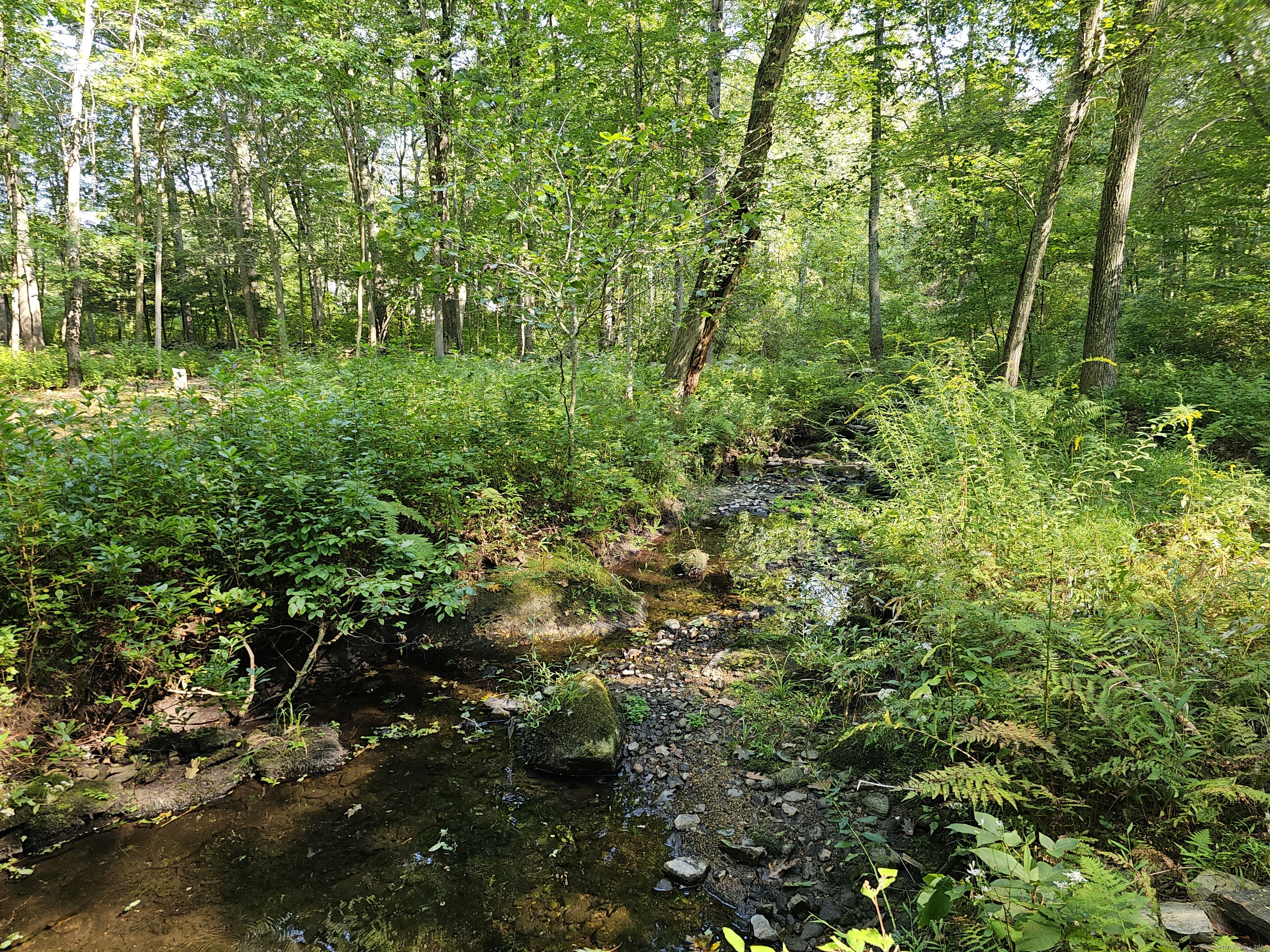 1409 Old Colchester Road, Montville, Connecticut image 4