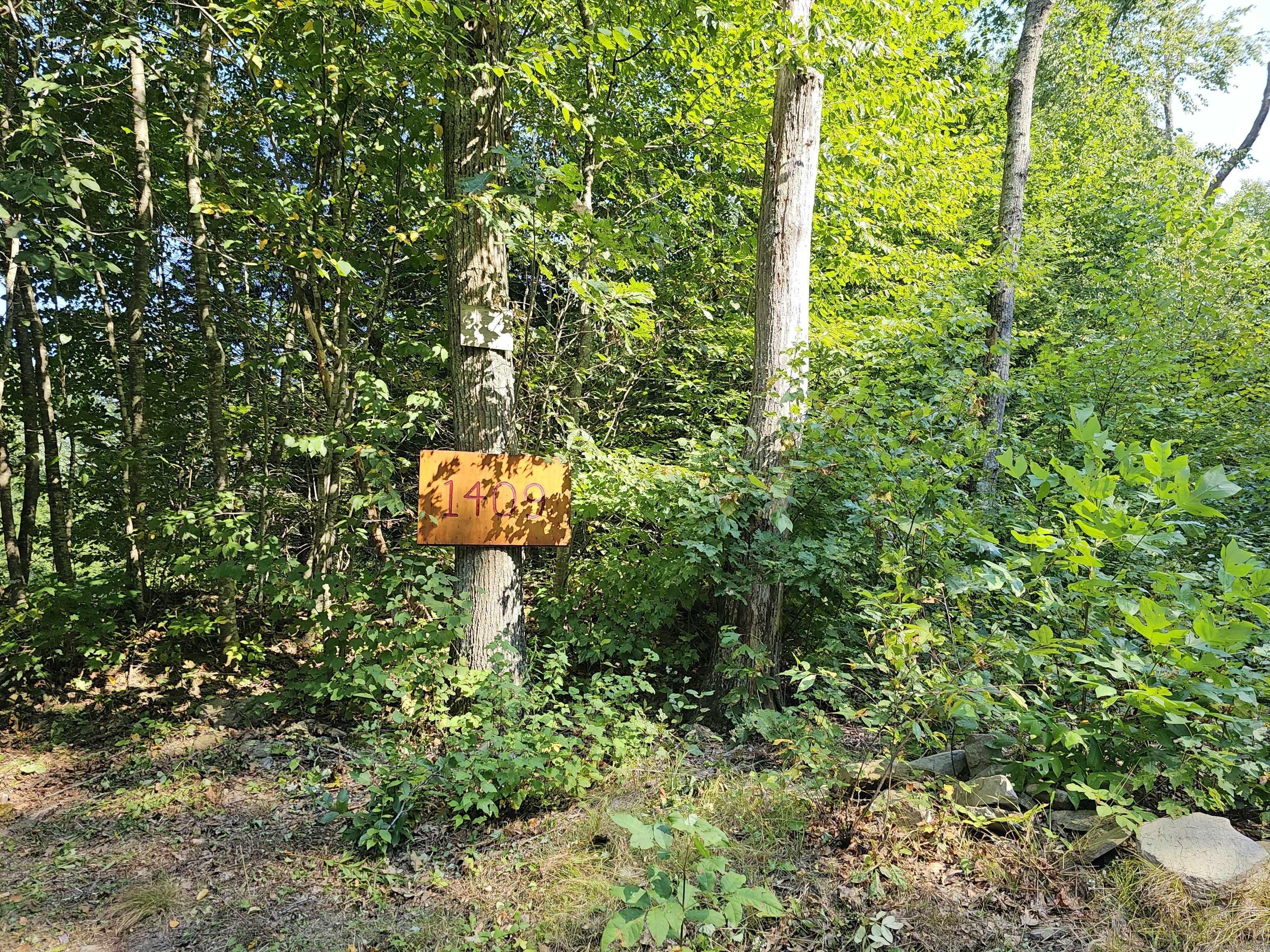 1409 Old Colchester Road, Montville, Connecticut image 8