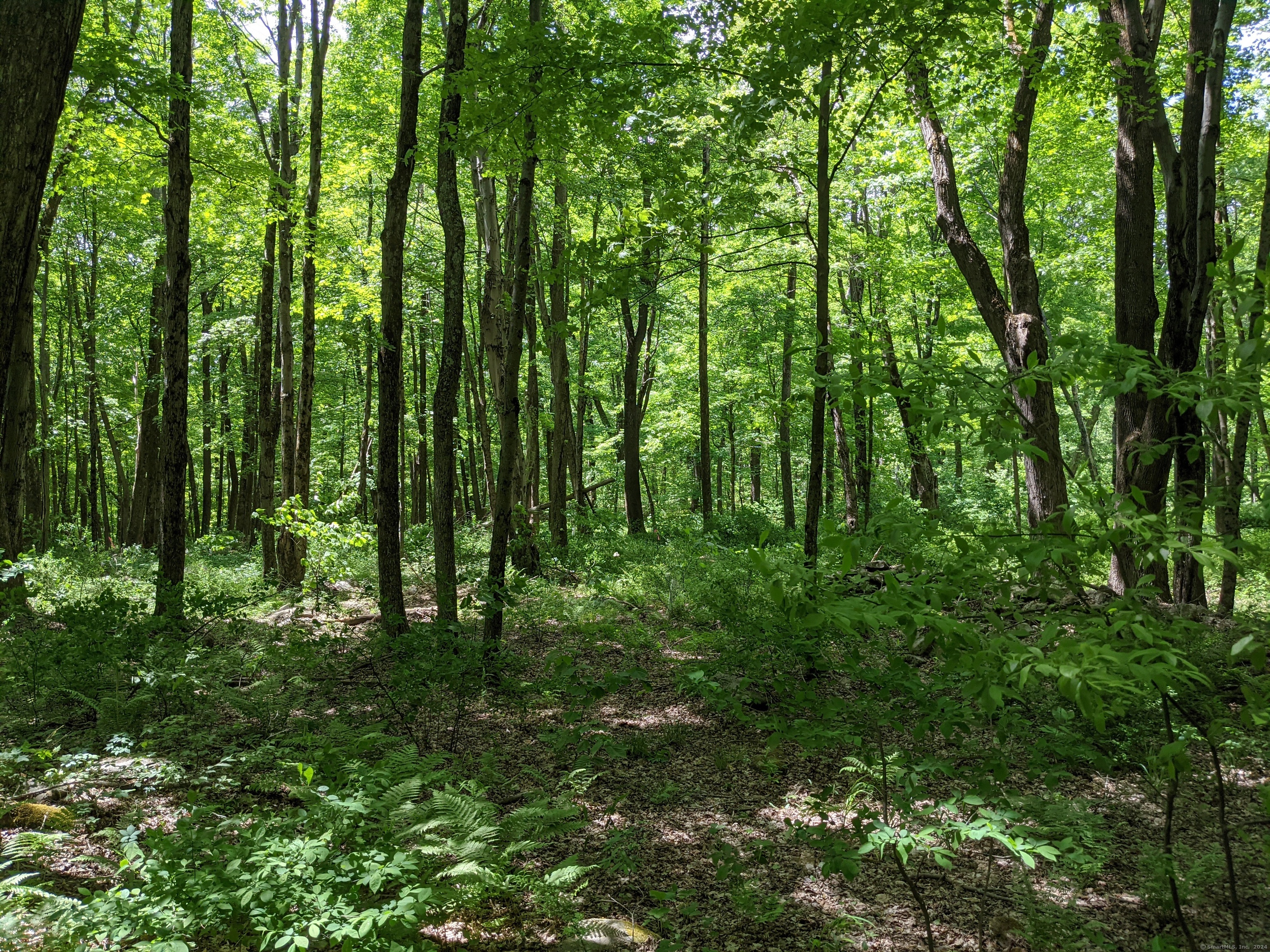 00 Old Homestead Lane, Kent, Connecticut image 1