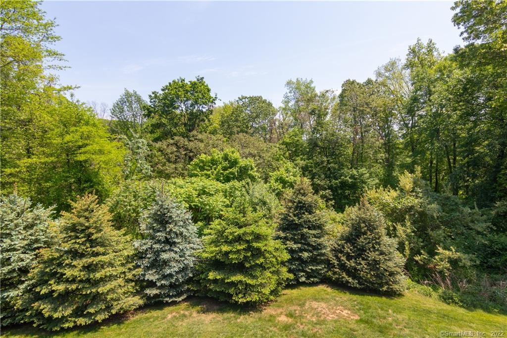 2 Crestview Drive #2, Middlefield, Connecticut image 17