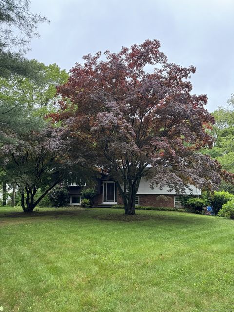 3 Abbey Lane Shelton CT 06484
