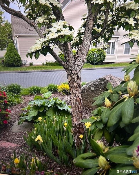 Tiny photo for 1 Magnolia Circle #1, Farmington, CT 06032 (MLS # 24162720)