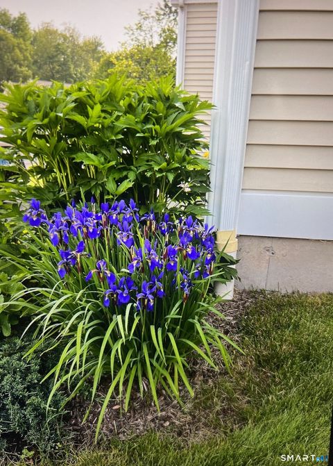 Tiny photo for 1 Magnolia Circle #1, Farmington, CT 06032 (MLS # 24162720)