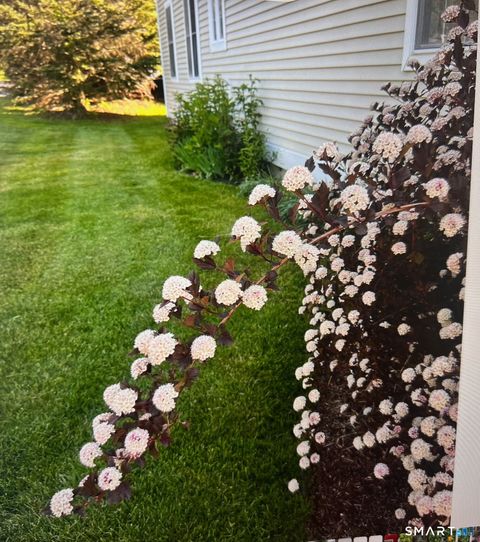 Tiny photo for 1 Magnolia Circle #1, Farmington, CT 06032 (MLS # 24162720)