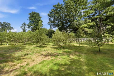 Tiny photo for 428 Tarbox Road, Plainfield, CT 06374 (MLS # 24197036)