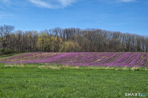 Tiny photo for 146 Village Street, North Branford, CT 06472 (MLS # 24165235)