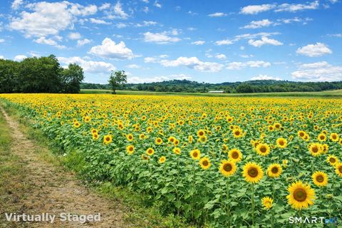 Tiny photo for 146 Village Street, North Branford, CT 06472 (MLS # 24165235)