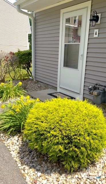 Photo of 111 Brittany Farms Road #A, New Britain, CT 06053 (MLS # 24187082)