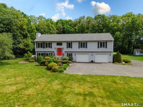 Homes For Sale - 132 Lake Street<br/> Hartford County, Manchester, CT 06042