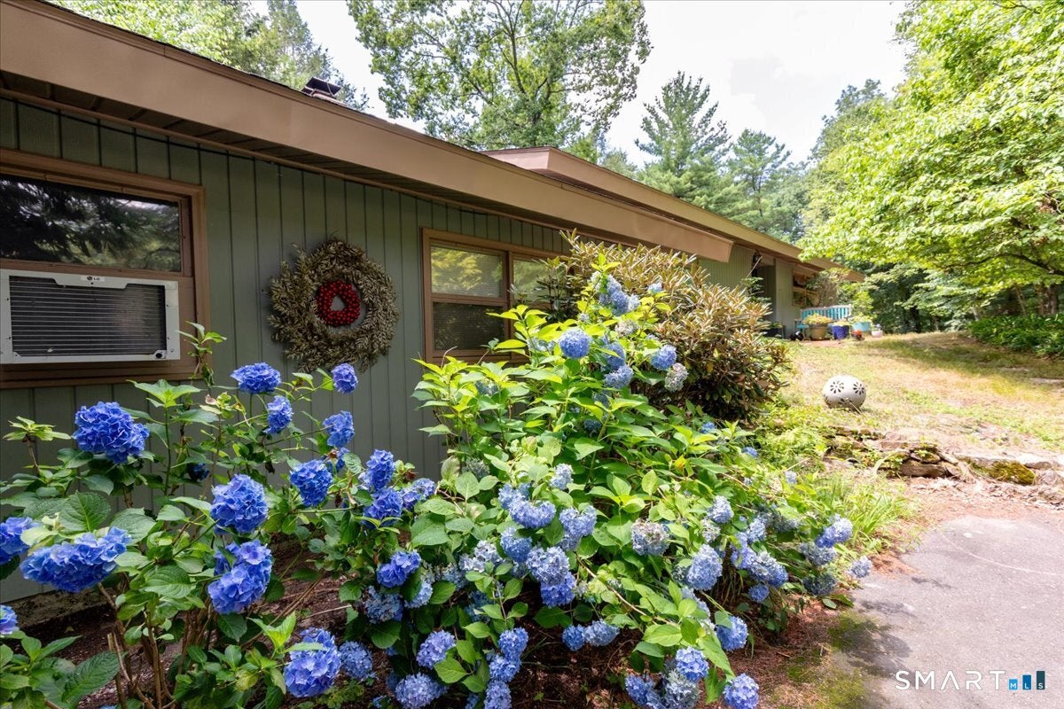 296 Ferguson Road