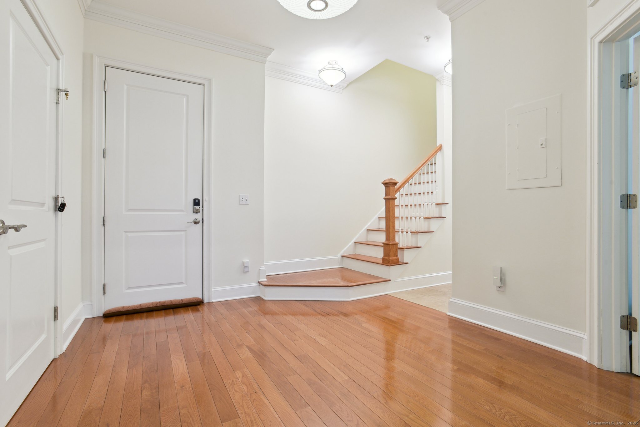 329 Greene Street #3, New Haven, Connecticut image 5