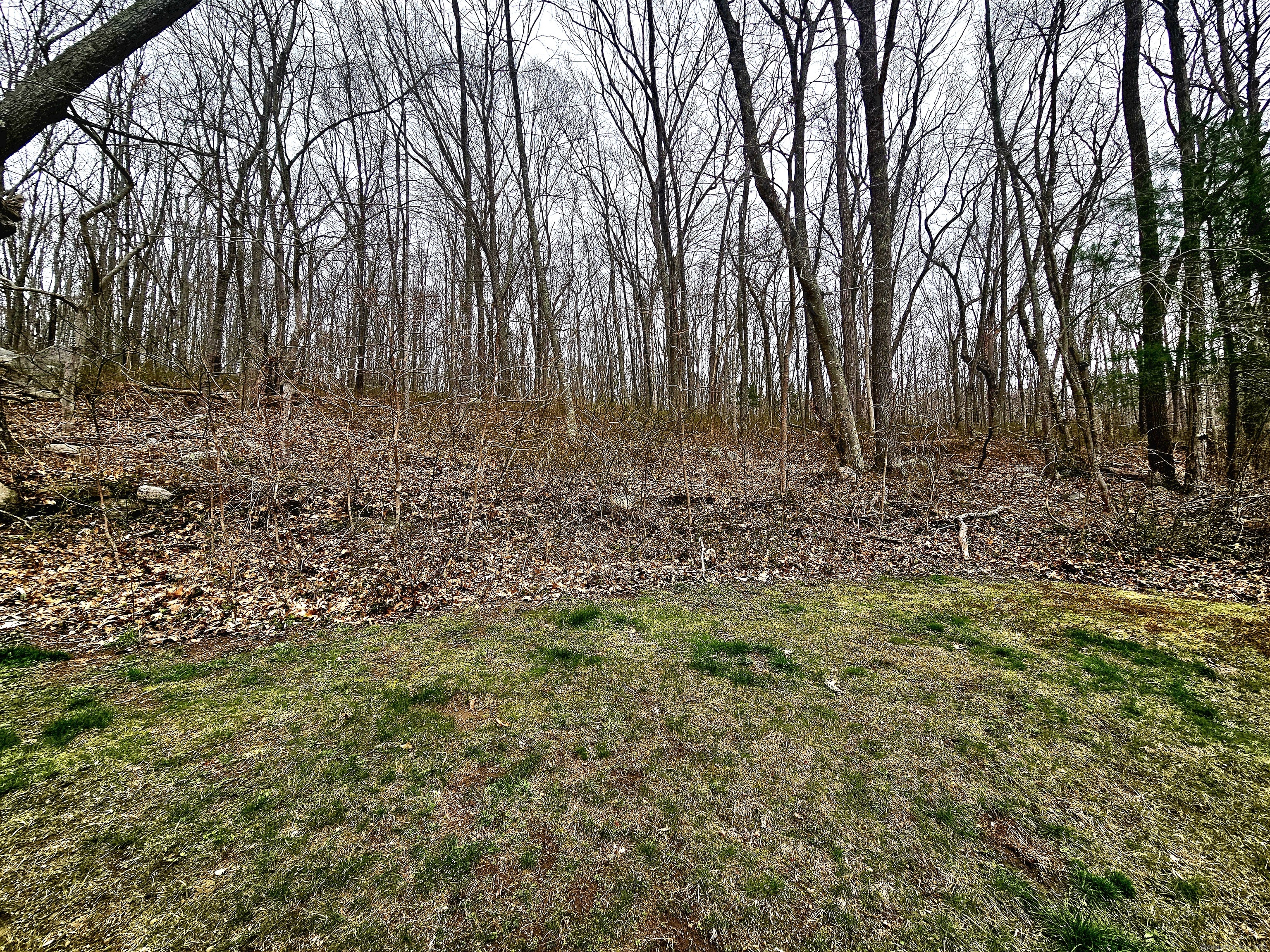 337 Boston Post Road, Waterford, Connecticut image 2