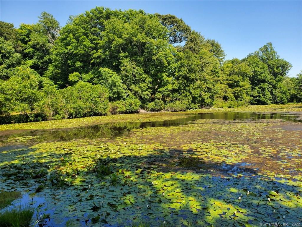 728 Durham Road, Madison, Connecticut image 1