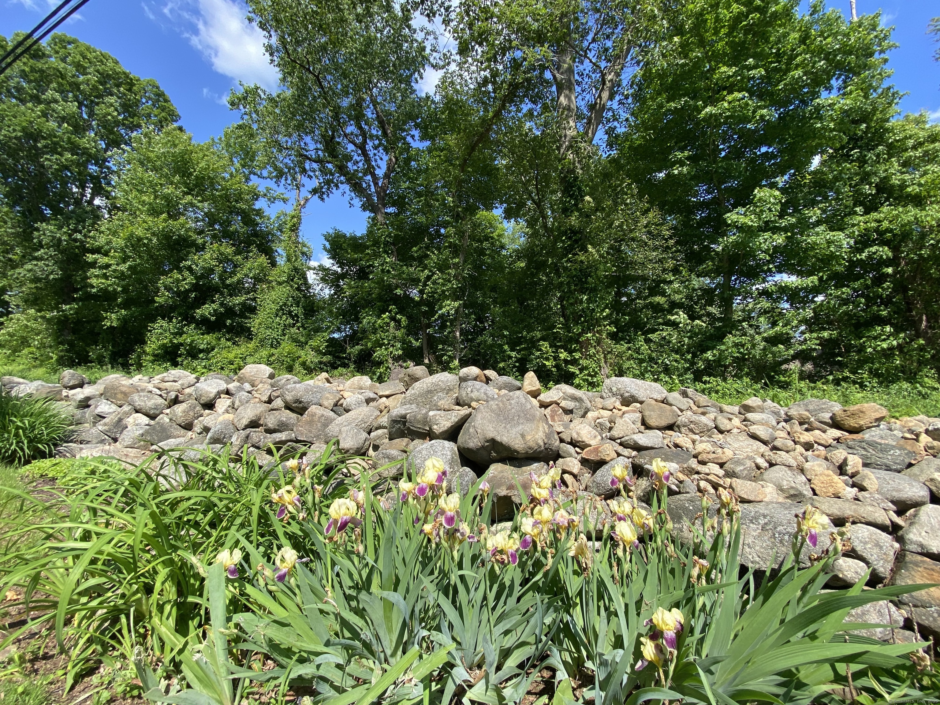 403 Bethmour Road, Bethany, Connecticut image 12