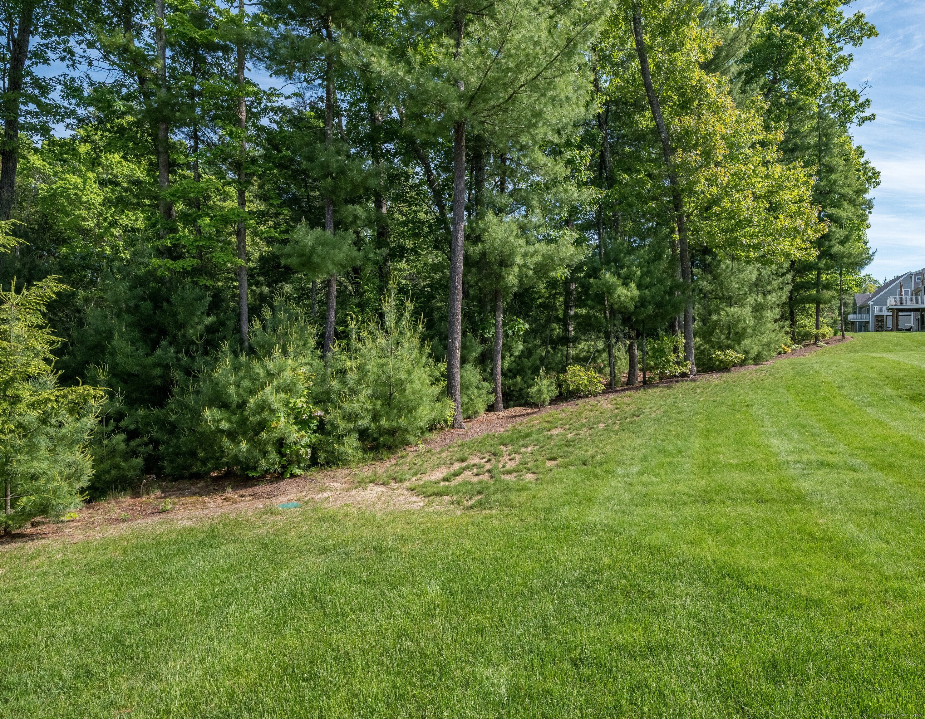 3 Prospect Ridge, Simsbury, Connecticut image 27