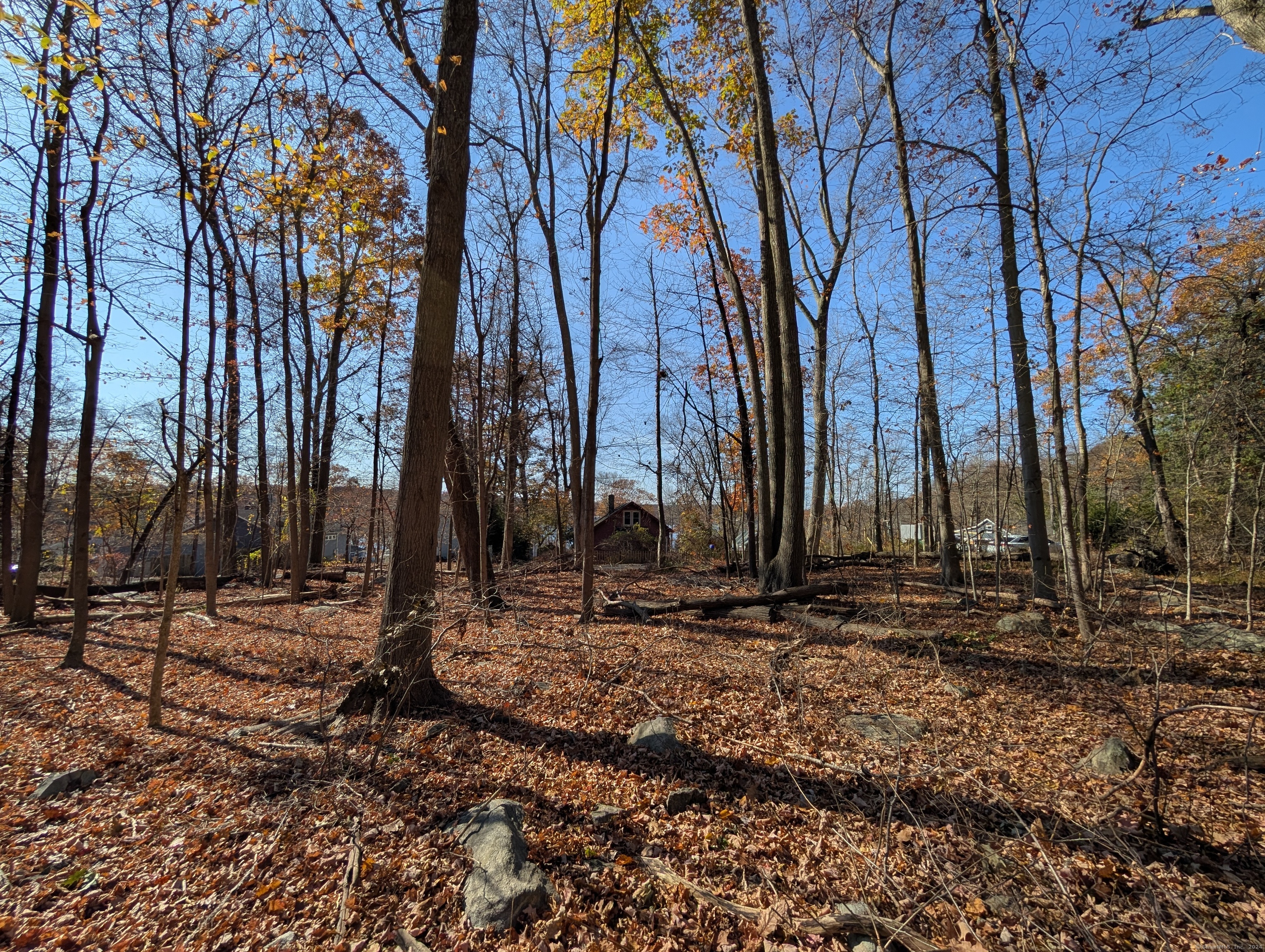 Spring Road, Coventry, Connecticut image 3