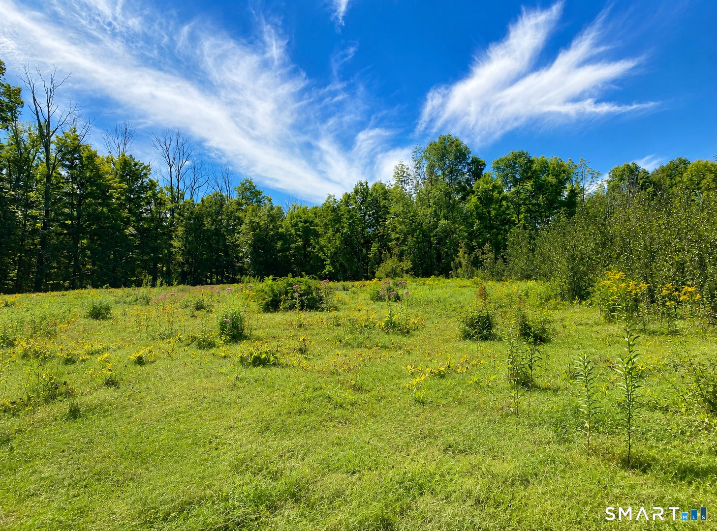 -00 Colebrook Road