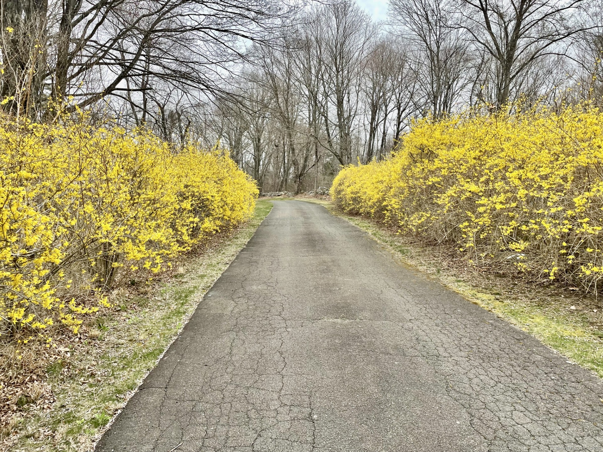 363 Nut Plains Road, Guilford, Connecticut image 38