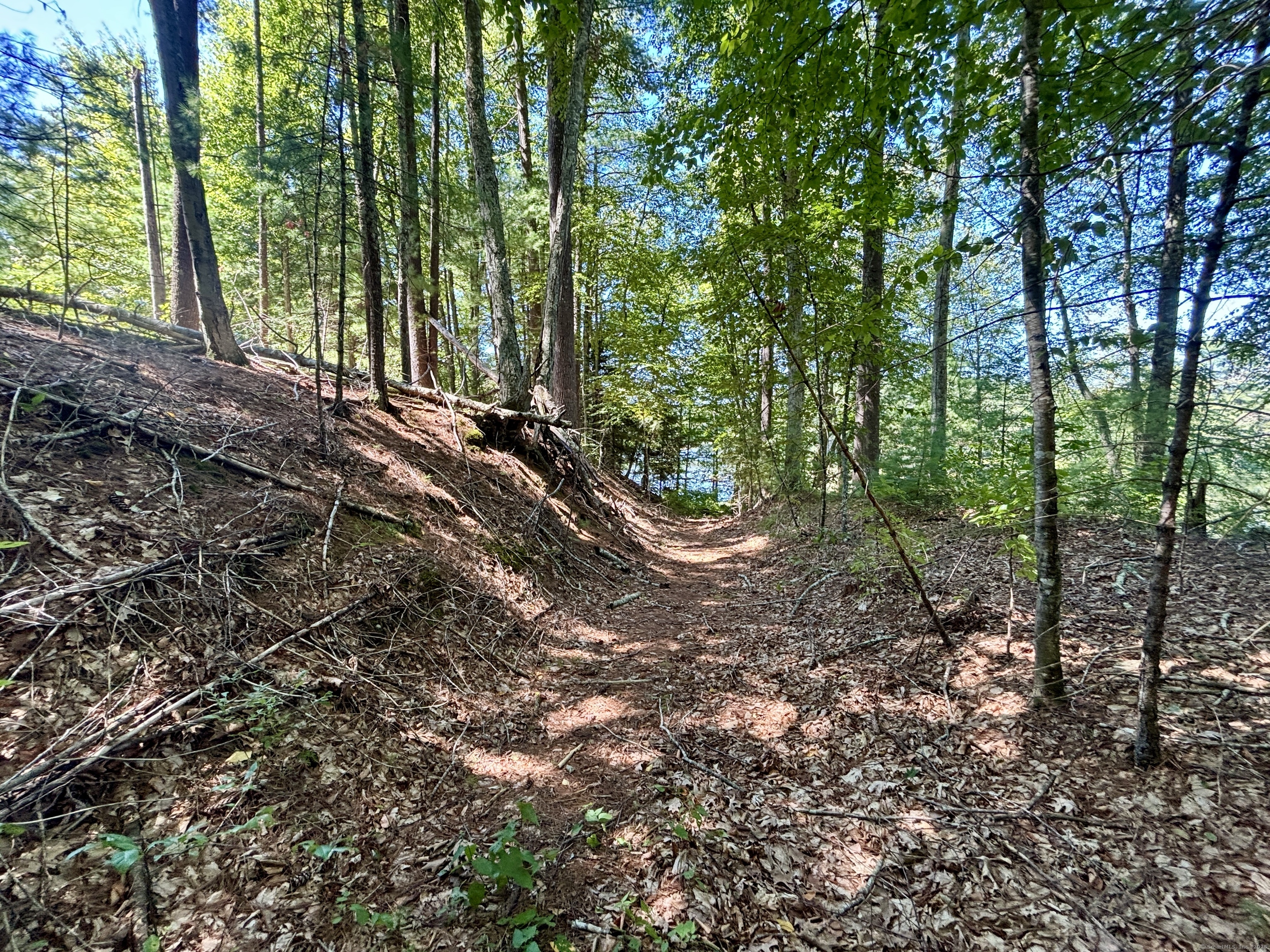 41 Arbor Road