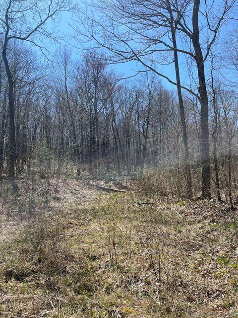 Tiny photo for 361D George Washington Turnpike, Burlington, CT 06013 (MLS # 24123949)