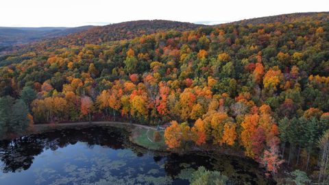 Tiny photo for 62 Big Bear Hill Road, New Milford, CT 06776 (MLS # 24121264)