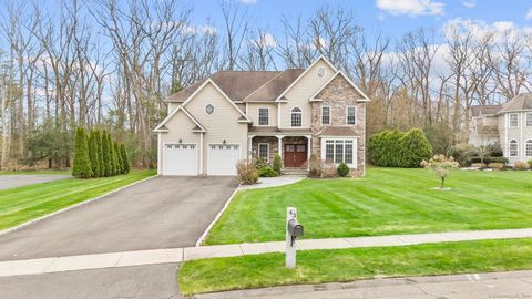 43 Holland View Drive Southington CT 06489
